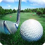 高尔夫大师3D(Golf