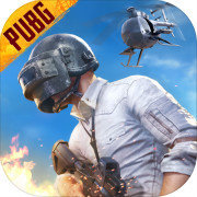 pubg日韩服-pubg日韩服下载