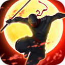 影子武士2修改器风灵月影版 v1.0-影子武士2修改器