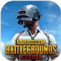 PUBG MOBILE国际服官网最新版下载