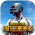 pubgmobile国际服手游下载官方下载