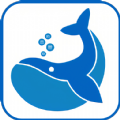 鲸鱼游戏-鲸鱼游戏电视剧在线观看免费版