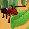蚂蚁进化3d俘获昆虫-蚂蚁进化3d游戏俘获