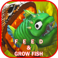 饲料和成长鱼下载-饲料和成长鱼游戏最新手机版