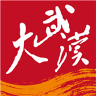 大武汉app官网下载-大武汉官方最新版本