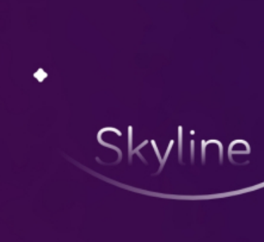 安卓Skyline模拟器-安卓Skyline模拟器Edge v8版