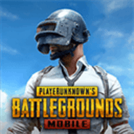 pubg亚服手游下载-pubg亚服