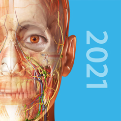 三维人体结构图app-完整的三维人体2020安卓最新版