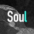 soul app官方版软件安卓手机版下载-soul app官方版软件手机版下载v4.56.0