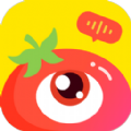 番茄派对app安卓版下载-番茄派对APP安卓版