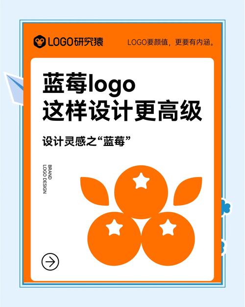 蓝莓官网图标