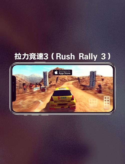 拉力竞速3破解版无限金币