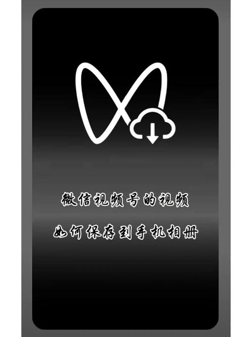手机视频号助手