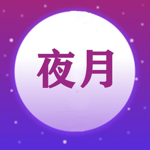 夜月官方版加速永久