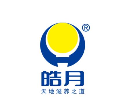 皓月辅助平台注册