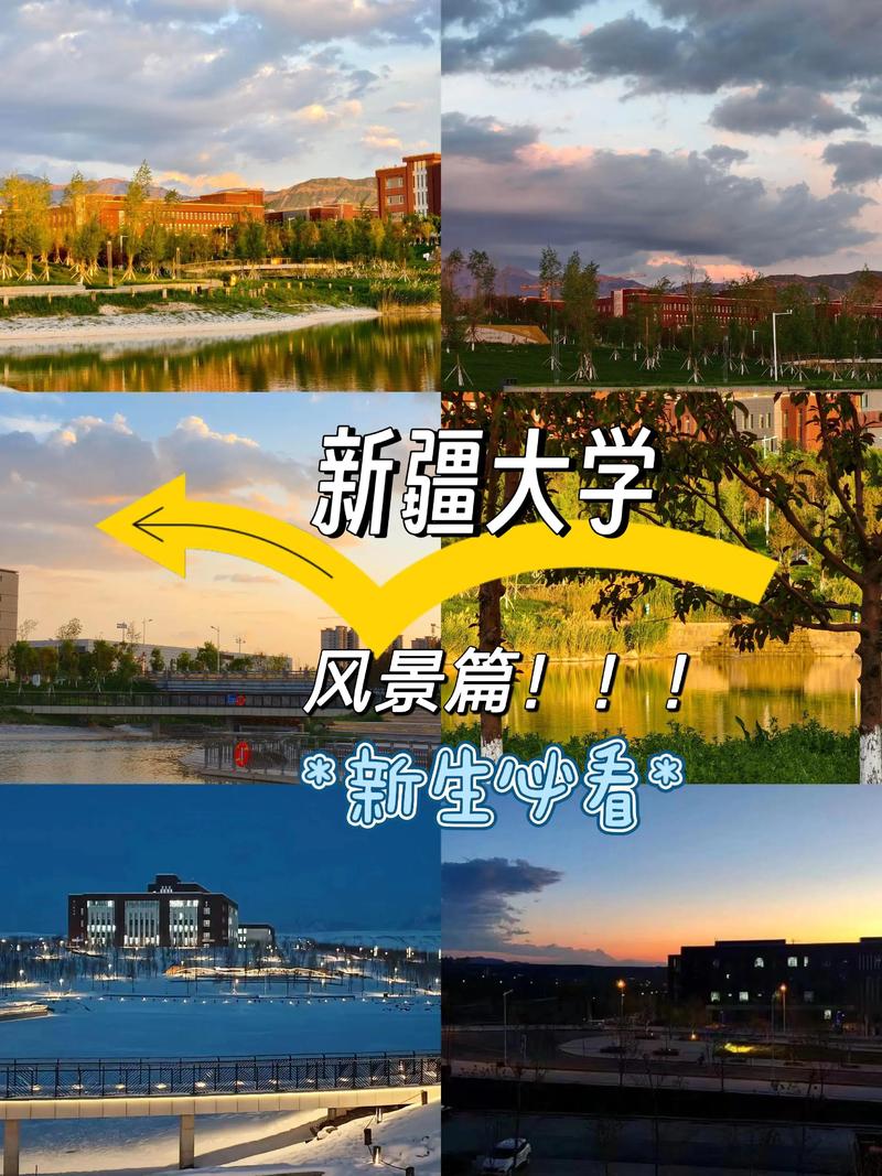 998jalap大学新疆大学APP下载游戏截图