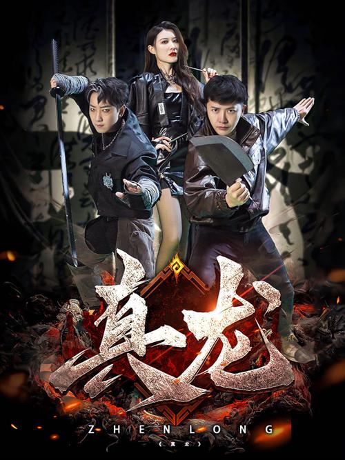 真龙影视