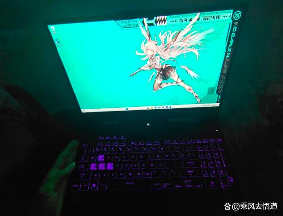 天选四只有声音黑屏