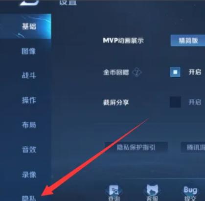王者设置战绩查询权限