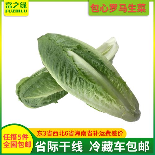 养颜菜又叫什么生菜