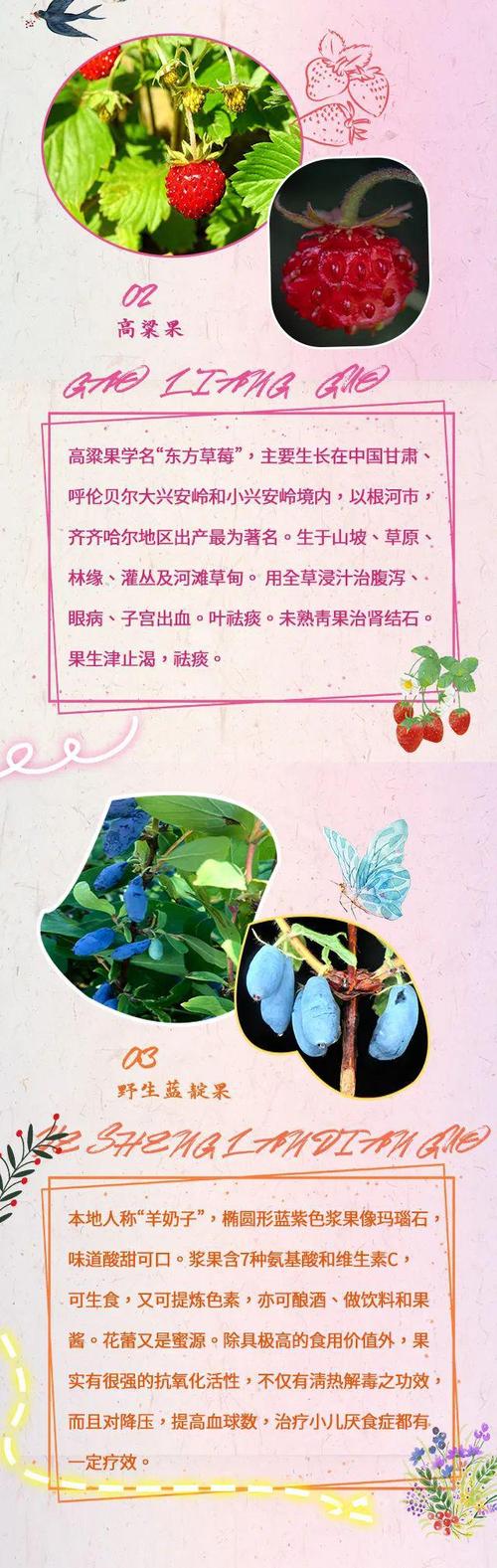 野果by图标