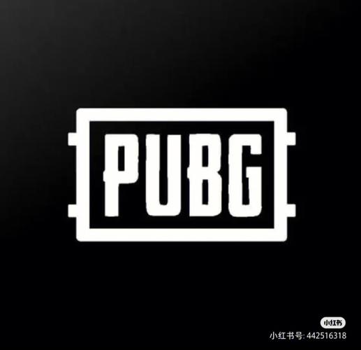 PUBG体验服Yy追踪直装截图
