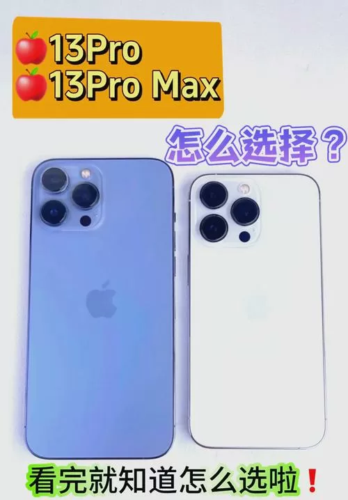 买pro还是max