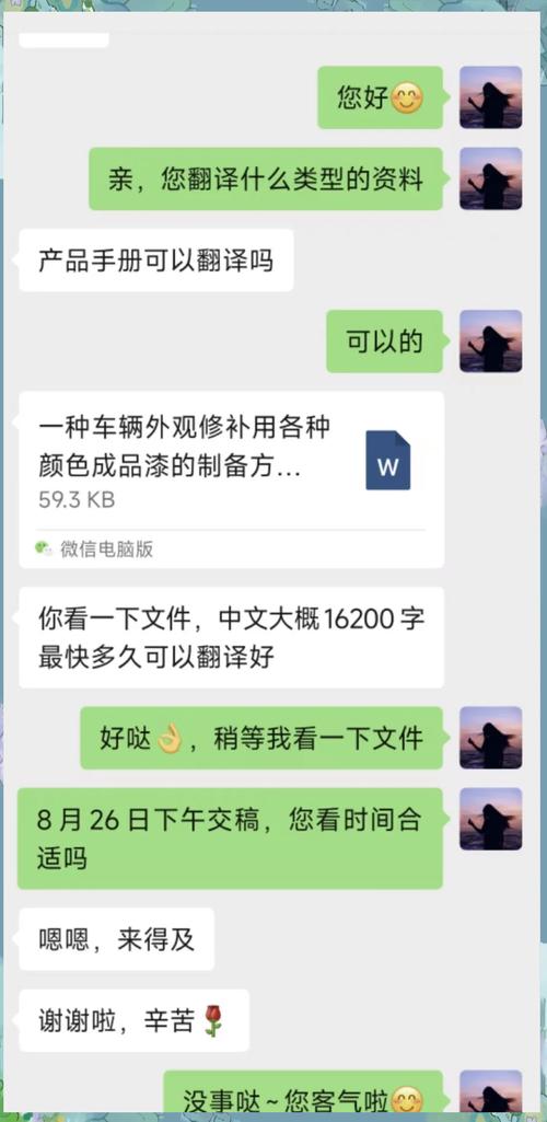 俄语翻译中文转换器精简版