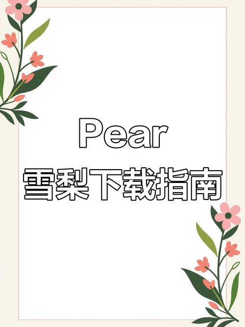 台湾pear雪梨图标